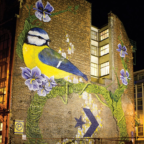 Blue Tit by Faunagraphic, Newton Street Manchester