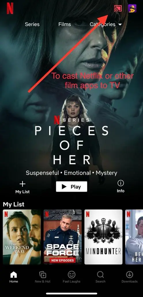 google cast instructions