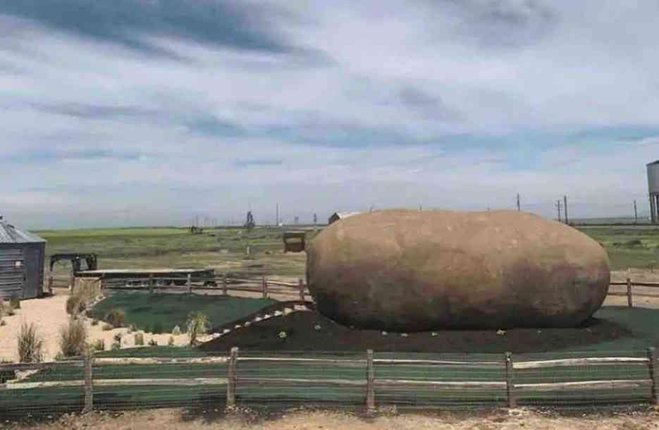 Big Potato Hotel