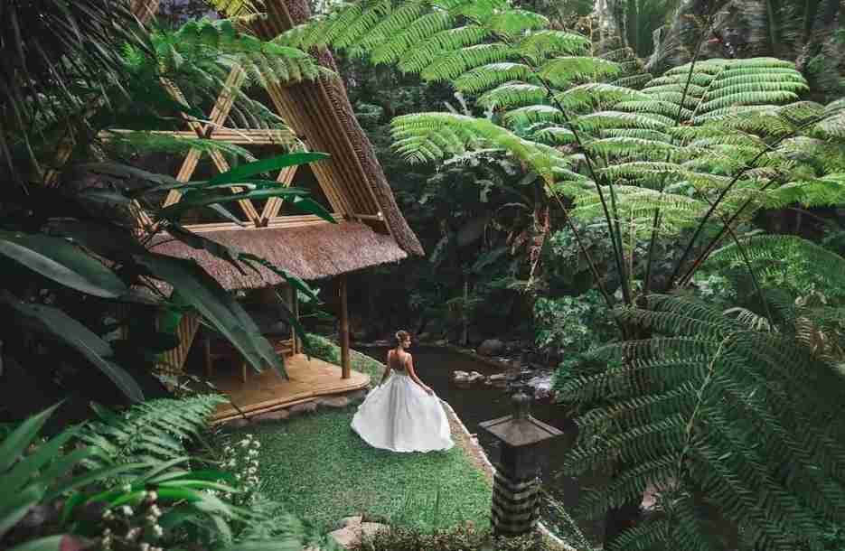 Eco Bamboo House